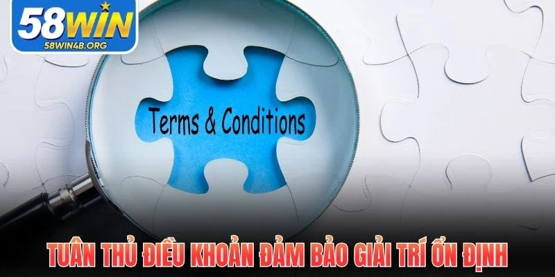 tuan thu dieu khoan dam bao giai tri on dinh